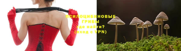 скорость Алзамай