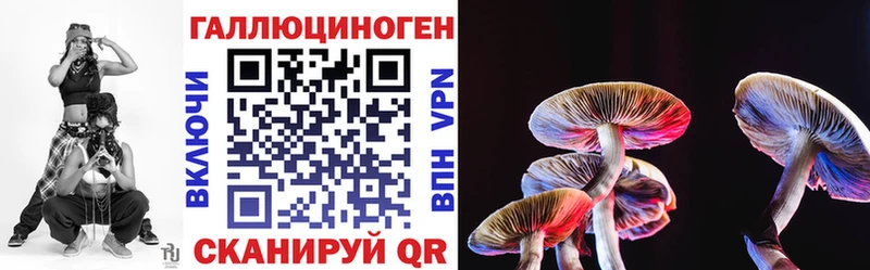 Псилоцибиновые грибы Psilocybe Грязовец
